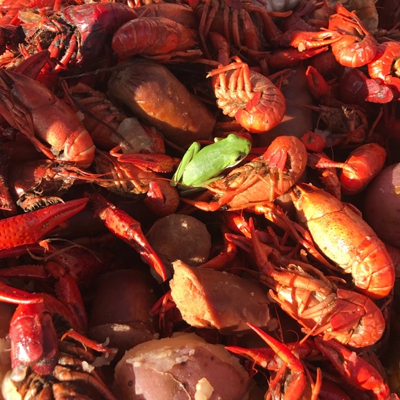 Meet your Posher, Roxanne POSH AMBASSADOR ⚜️💜💚💛 - Picture 6 of 8